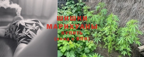 первитин Володарск