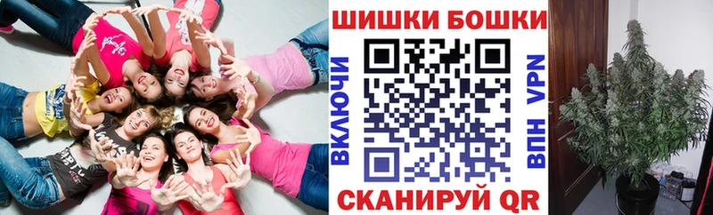 Конопля Bruce Banner  Купить где  Нягань 